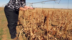 In the gently rolling hills of Oklahoma ranch country is a place that has seen more than its share of destructive weather mdash  tornadoes, ice storms and floods, year after year, for half of ...